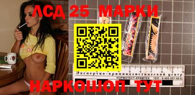 СК Дубна