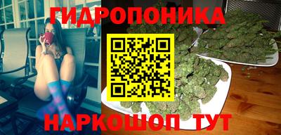 СК Дубна