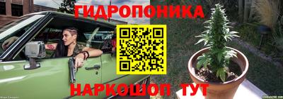 СК Дубна