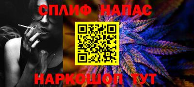 СК Дубна