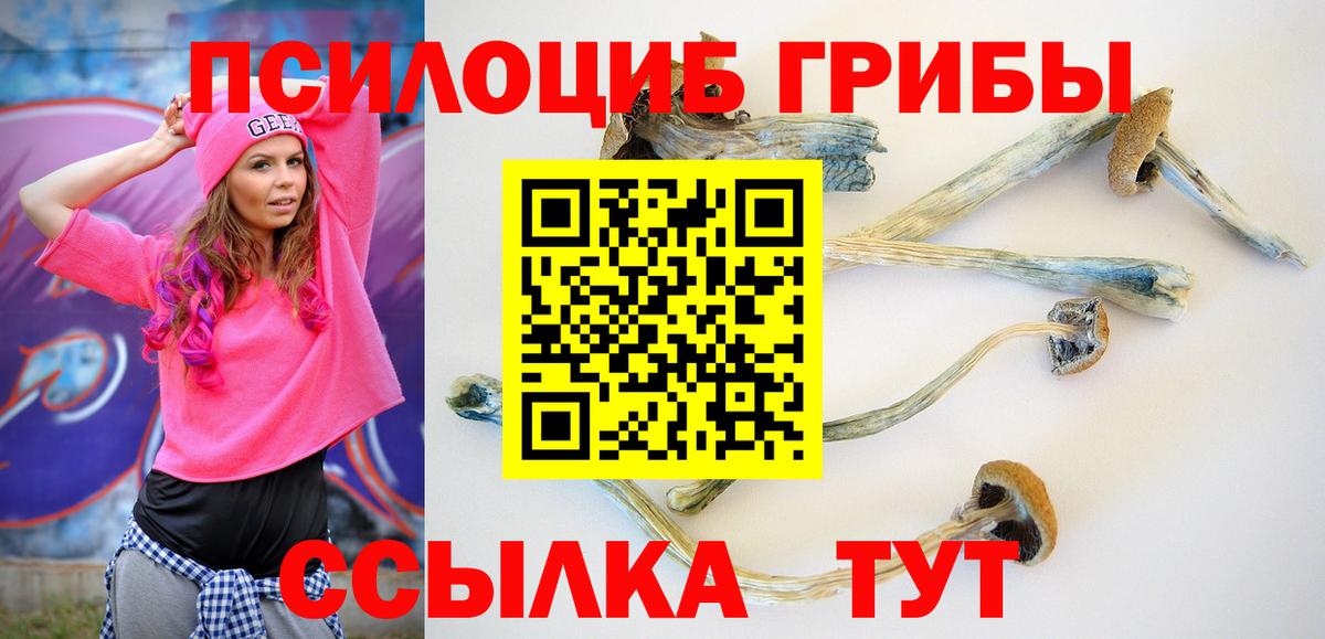 Псилоцибиновые грибы Magic Shrooms Магнитогорск