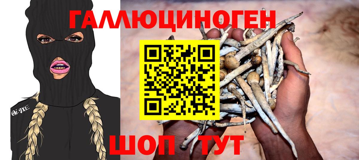 Галлюциногенные грибы Cubensis  купить наркоту  Магнитогорск  Вход с VPN 